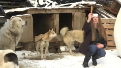 美滑雪运动员走访韩国养狗场：“令人心碎”