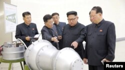 북한 김정은 노동당 위원장이 '핵무기 병기화 사업'을 현지지도했다고 조선중앙통신이 지난 3일 보도했다. 뒤에 세워둔 안내판에 북한의 ICBM급 장거리 탄도미사일로 추정되는 '화성-14형'의 '핵탄두(수소탄)'이라고 적혀있다.