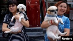 Animal activists hold a dog (R) which was rescued from a dog meat trader and a rescued stray dog, before their gathering against Yulin Dog Meat Festival in Beijing, China, June 10, 2016
