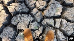 Janubiy Afrikada qurg'oqchilik manzarasi, BMT Arxivi. 