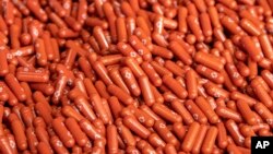 Merck & Co. announced Friday, Oct. 1, 2021, that its experimental COVID-19 pill reduced hospitalizations and deaths by half in people recently infected with the coronavirus. (Merck & Co. via AP)