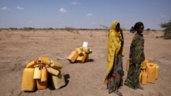 Uummata Itiyoopiyaa Miliyoona 5.6tu Gargaarsa Yeroo Hatattamaa Eeggataa Jira: USAID