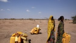 ኣብ ኢትዮጵያ ኣብ ሓሙሽተ ክልላት ብዘጋጠመ ደርቂ ሕጽረት መግቢ፡ ማይን ጸገም ቀለብ እንሰሳ ምስዓቡ ተሓቢሩ