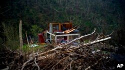 FILE - The foundation of a heavily damaged house stands amid broken trees in the mountains after the passing of Hurricane Maria in the San Lorenzo neighborhood of Morovis, Puerto Rico, Sept. 30, 2017. Environmental groups and volunteers are gathering nati