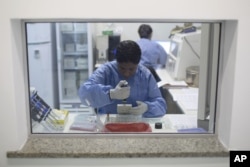 FILE - A graduate student analyzes samples to identify the Zika virus in a laboratory at the Fiocruz institute in Rio de Janeiro, Brazil, Jan. 22, 2016.
