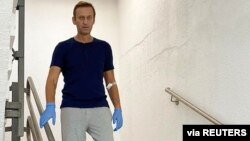 ალექსეი ნავალნი