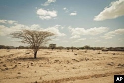 Kenya's Turkana region shows effects of severe drought affecting the Horn of Africa.