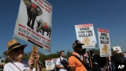 Activists march at the site of the Convention on International Trade in Endangered Species of Wild Fauna and Flora (CITES) in Johannesburg, South Africa, Sept 24, 2016. 