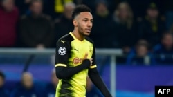 Le Gabonais de Dortmund Pierre-Emerick Aubameyang célébrant son but lors du match contre Tottenham en ligue des champions, le 21 Novembre 2017 