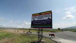 ንከተማ ሃዋሳ ዝሕልው ወታሃደራዊ እዚ ምስ ነበርቲ ልዝብ ምክያዱ ተገሊጹ