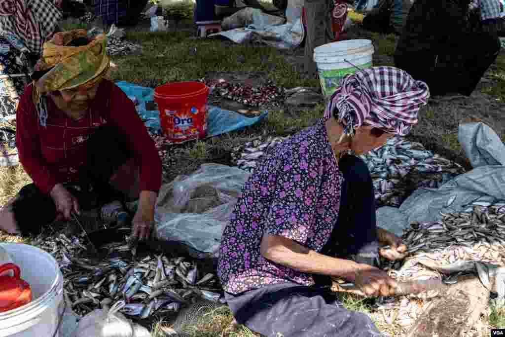ប្រជាពលរដ្ឋខ្មែរ​កំពុង​ធ្វើកូន​ត្រី​យក​ទៅ​ធ្វើ​ប្រហុក​ផ្អកអំឡុង​ដើម​រដូវ​ប្រហុក​ ផ្អក​នៃ នៅ​ឃុំ​កំពង់លួង ស្រុក​ពញ្ញាឮ ខេត្ត​កណ្តាល​ កាលពី​ថ្ងៃសៅរ៍​ ទី​០៧ ខែធ្នូ ឆ្នាំ២០១៩។(ទុំ ម្លិះ/VOA)