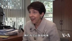 谢淑丽回忆中国入世辩论：我们夸大了中国入世对中国国内政治改革的好处