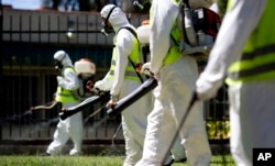 Fumigasi di kawasan Chacabuco Park dalam upaya untuk mengendalikan penyebaran nyamuk Aedes aegypti di Buenos Aires, Argentina.