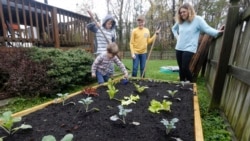 Quiz - How to Transplant Your Garden