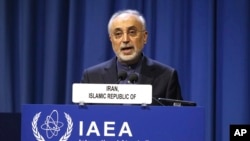 Kepala Program Nuklir Iran, Ali Akbar Salehi dalam konferensi IAEA di Wina, Austria, 16 September 2019. (Foto: dok).