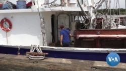 Gulf of Mexico Dead Zone