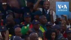 Les Springboks accueillis en héros