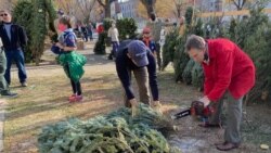A man uses a chainsaw to cut the stump of a Christmas tree that was just sold in Washington, D.C.'s Capitol Hill neighborhood.