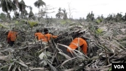 Petani di desa Jeruk Agung, kecamatan Srumbung Kabupaten Magelang Jawa Tengah melakukan pemangkasan pohon salak (Nglumut).