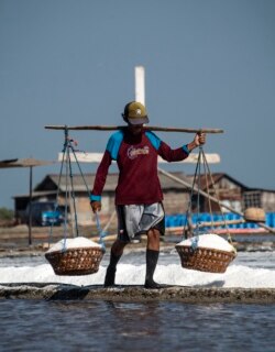 Seorang petani garam di Sidoarjo, provinsi Jawa Timur, membawa hasil panennya ke pasar, 16 September 2019. (Foto oleh Juni Kriswanto / AFP)