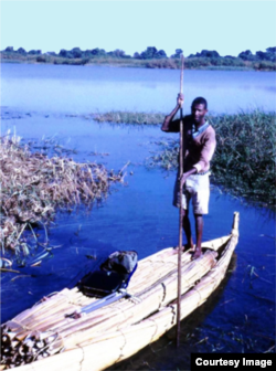 A man propels a papyrus boat across Lake Tana in Ethiopia, 1980. (Courtesy John Gaudet)
