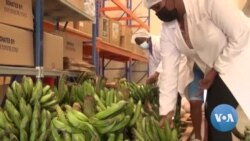 Farmers, Groups in Africa Prepare for a Future Made Uncertain by Climate Change