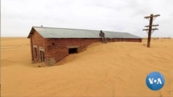 AQShda Orol muammosiga bag'ishlangan ko'rgazma