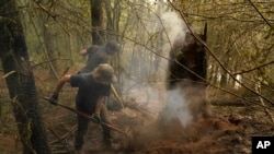 Wyatt Dunn, foreground, and James May help put out a smoldering stump at the Riverside Fire, Sept. 13, 2020, near Molalla, Ore. 