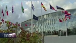Eksperti: Amerika i Evropa će ravnopravno odlučivati o budućnosti NATO
