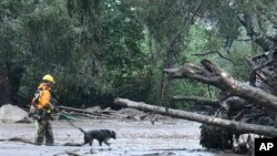 La coulée de boue a renversé des arbres, détruit des voitures et recouvert d'une épaisse couche de boue quantité d'habitations