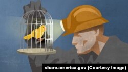 Canary in the Coal mine