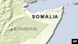 Al-Qaida Linked Group Gains Control of Somali Port City