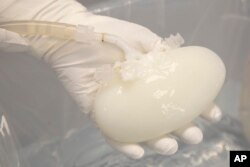 Bioengineered Organs