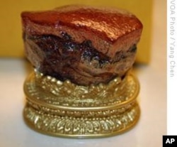 肉形石(仿制品)