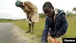 رضاکاران زن در ولایت کندهار کمپاین محو پولیو یا فلج کودکان را تطبیق می کنند