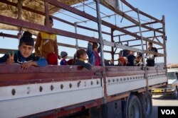 Hundreds of civilians flooded out of eastern Mosul Thursday hitching a ride on any transport they could find, Nov. 3, 2016. (Photo: Jamie Dettmer for VOA)