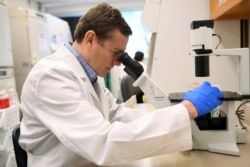 In this Aug. 5, 2019 photo, Dr. Gregory Friedman, a childhood cancer specialist, looks through a microscope at a laboratory in Birmingham, Alabama. (AP photo via University of Alabama)