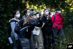 FILE - A students watch a group of golden lion tamarins during an observation tour at a private partner property of the golden lion tamarin ecological park, in the Atlantic Forest region of Silva Jardim, Rio de Janeiro state, Brazil, Thursday, June 16, 2022. (AP Photo/Bruna Prado)