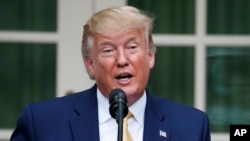 Donald Trump à la Maison Blanche le 11 juillet 2019.