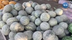 "Qoraqalpog'iston olis o'lka emas"