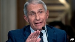 Anthony Fauci, Direktur Institut Nasional Alergi dan Penyakit Menular, bersaksi di depan Komite Kesehatan, Pendidikan, Perburuhan, dan Pensiun Senat di Gedung Kantor Senat Dirksen di Washington, 20 Juli 2021. (Foto: AP)