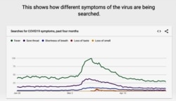 This graphic produced for Google Trends shows the top coronavirus symptom searches on the Google search engine. (Google)