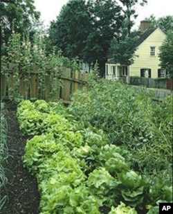 Old Salem has not only preserved historic houses but also re-created the kinds of gardens that were an extension of every household.