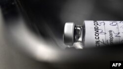 Pfayzer-Biontek vaksinasi