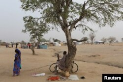 FILE - A man sells tomatoes under a tree at the Minawao refugee camp in Minawao, Cameroon.