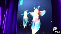 Kolaborasi pusat seni Artechouse dan Woods Hole Oceanographic Institution menghadirkan pertunjukan spektakuler "Twilight Zone: Hidden Wonders of the Ocean" di Washington, D.C. (Maxim Adams/VOA)(Maxim Adams/VOA)