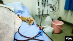 អ្នក​ជំងឺ​ខូច​តម្រងនោម​ ឬជំងឺខូចគ្រលៀន លាង​ឈាម​ក្នុងមជ្ឈមណ្ឌលមួយ​នៅ​ទីក្រុង​ភ្នំពេញ​។​ ការលាង​ឈាម​ ជា​ការត្រងកាកសំណល់​នានា​ ដើម្បី​បន្សុទ្ធ​ឈាម ដោយ​ប្រើម៉ាស៊ីន​ ​ពីព្រោះតម្រងនោម​ មិនអាច​បំពេញមុខ​ងារ​របស់វាបាន​។ (ខាន់​ សុគុំមនោ/ VOA)