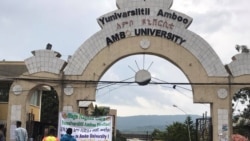 Waliigalteen Araaraa Lola Tigiraay Furuuf Tolfame Lola naanoolee Biroo Keessaa Furuufis Itti Fufuu Qaba: Yaadaa Namoonni Kennan Keessaa