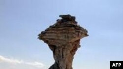 Rza Diqqəti:"Xalqın ekoloji problemə belə etiraz etməsi görünməmiş işdir"