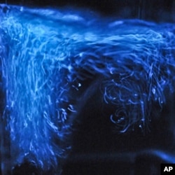 The flickering glow comes from thousands of live single-celled organisms called dinoflagellates. Tiny particles in each cell contain chemicals that mix and make light when the water is shaken or stirred.